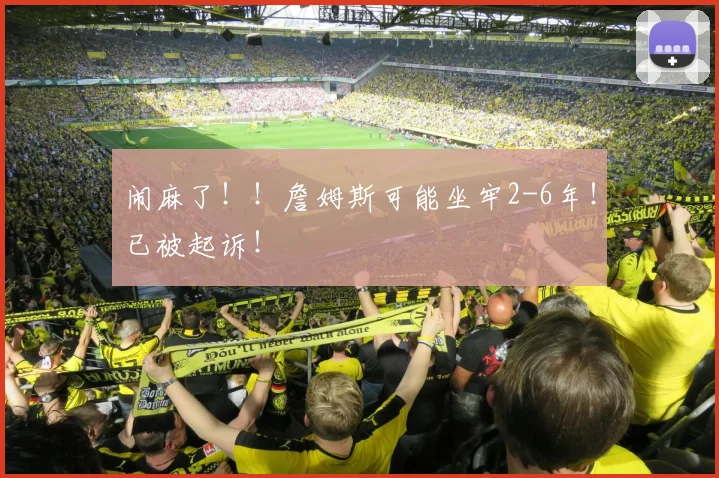 闹麻了!!詹姆斯可能坐牢2-6年!已被起诉!